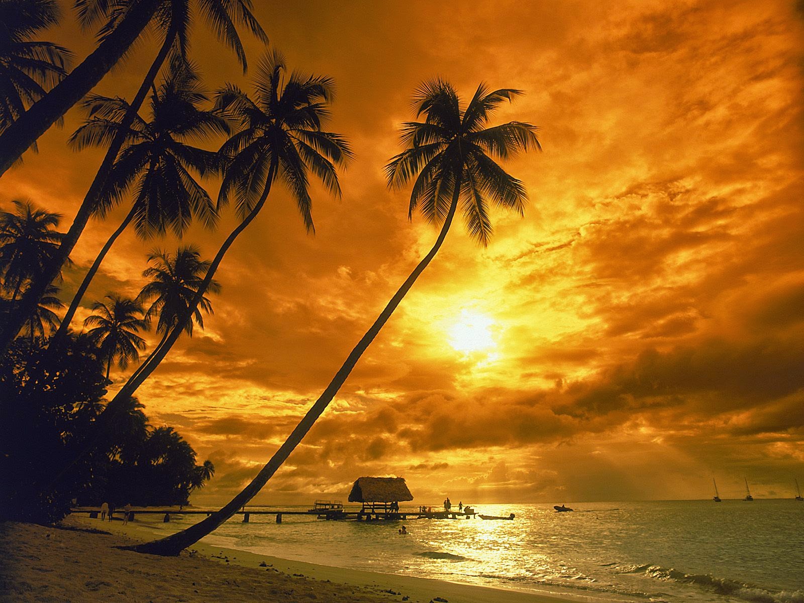 hawaii rooeto